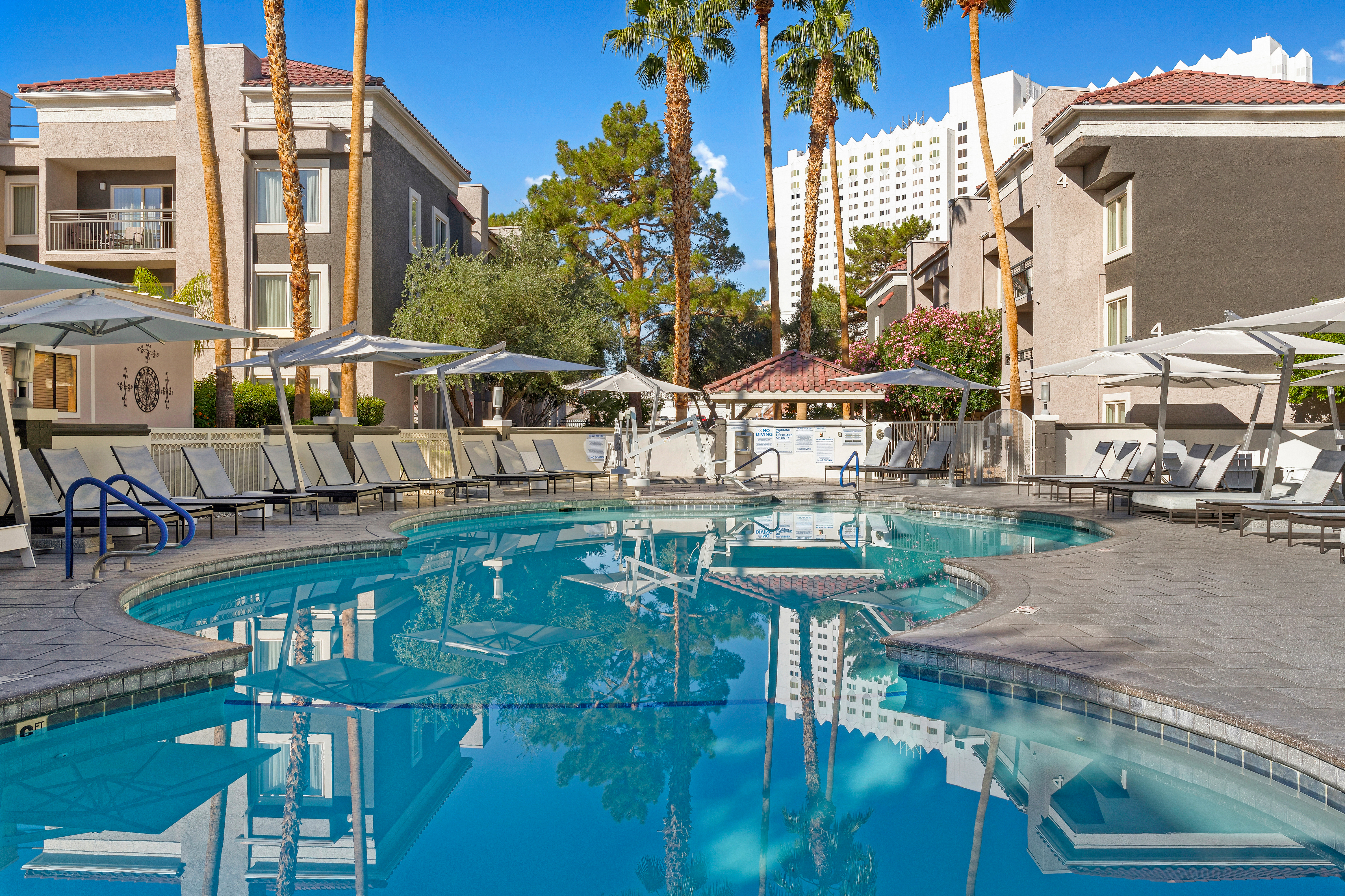 The Pool at the Desert Rose resort