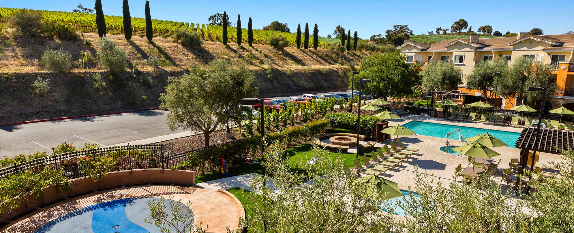 Napa Valley in the Fall